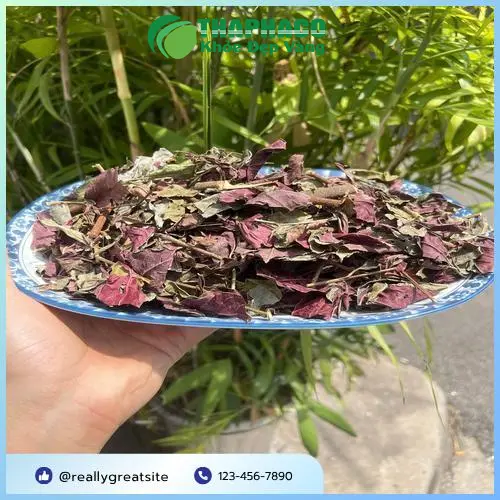 Quy trình đóng gói lá đơn đỏ chuyên nghiệp tại Noni Tấn Phát