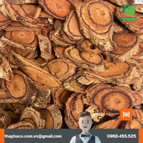 Kê Huyết Đằng chất lượng cao từ Noni Tấn Phát
