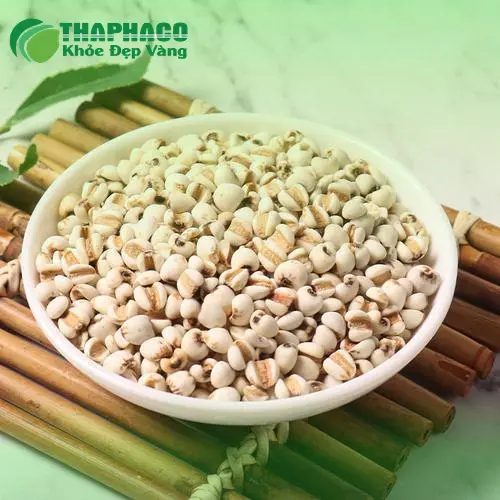 Noni Tấn Phát - Nhà cung cấp ý dĩ uy tín