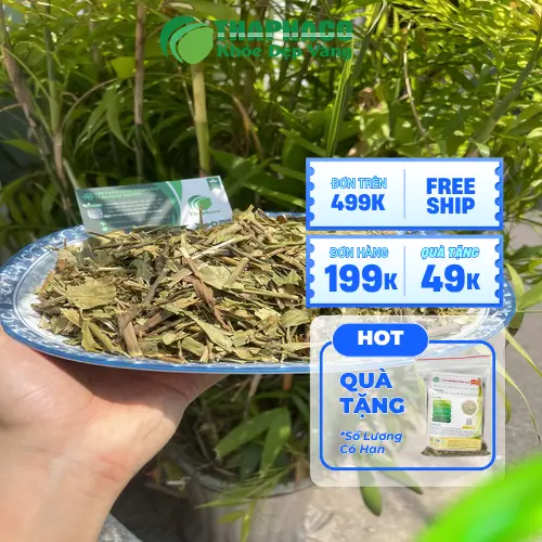 Cách dùng Hoàn ngọc khô an toàn