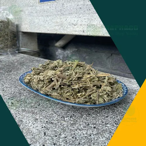 Cận cảnh cây cối xay khô tại Noni Tấn Phát