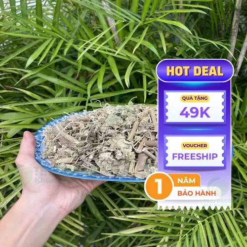 Sản phẩm cây cối xay đóng gói tiện lợi từ Noni Tấn Phát