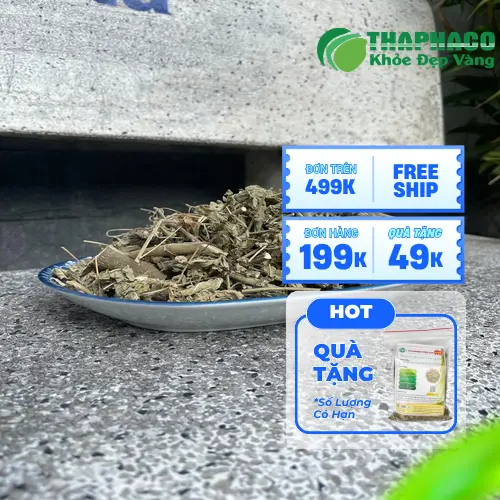 Cây cối xay khô được bảo quản trong túi kín