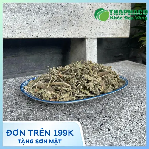 Noni Tấn Phát - Chuyên cung cấp cây cối xay và các loại thảo dược khác