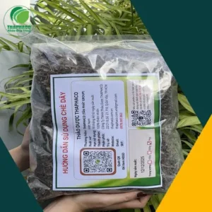 Chè Dây Noni Tấn Phát: Giải Pháp Vàng Cho Dạ Dày Khỏe Mạnh
