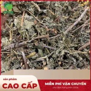Chè Dây Noni Tấn Phát: Giải Pháp Toàn Diện Từ Thiên Nhiên Cho Sức Khỏe Dạ Dày Và Giấc Ngủ