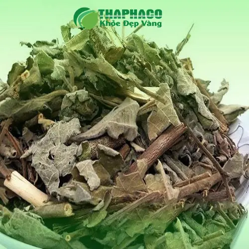 Trà an xoa Noni Tấn Phát - Thức uống vàng cho sức khỏe
