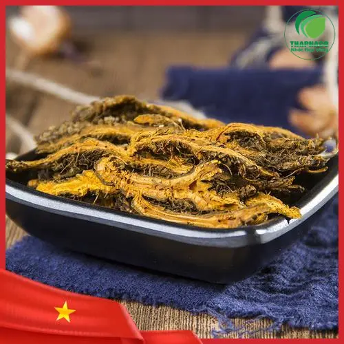 Hoàng Liên nguyên cành tại Noni Tấn Phát