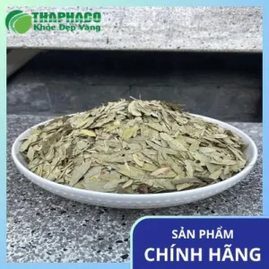 Phan Tả Diệp: Đánh Giá Chuyên Sâu Từ Noni Tấn Phát TP.HCM