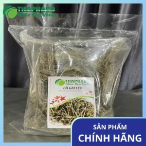 Cà Gai Leo Sỉ TPHCM: Noni Tấn Phát - Chất Lượng Vượt Trội