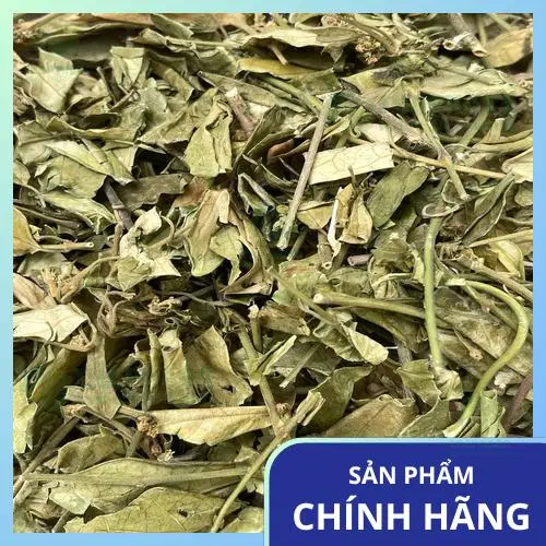 Hình ảnh dây thìa canh tươi và khô, thể hiện sự đa dạng trong cách sử dụng thảo dược