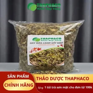 Địa chỉ bán Dây Thìa Canh sấy khô tại TP.HCM uy tín - Noni Tấn Phát