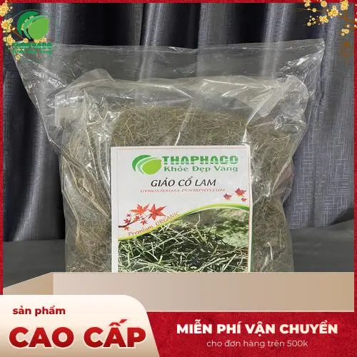 Hình ảnh giảo cổ lam tươi nguyên chất từ Noni Tấn Phát