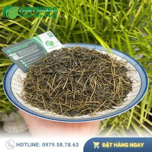 Giảo Cổ Lam Noni Tấn Phát - Giải pháp tự nhiên hỗ trợ giảm mỡ máu