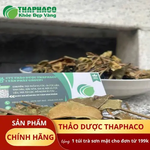Hình ảnh cây chè vằng tươi