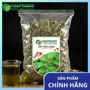 1kg Dây thìa canh giá bao nhiêu tiền? Noni Tấn Phát