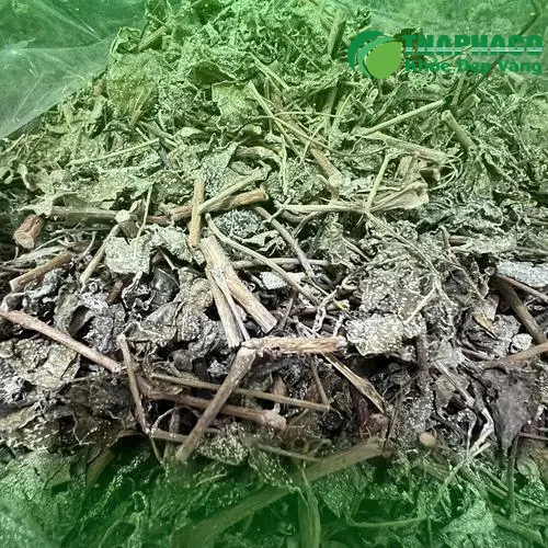 Công dụng của Chè Dây Noni Tấn Phát trong hỗ trợ điều trị viêm loét dạ dày