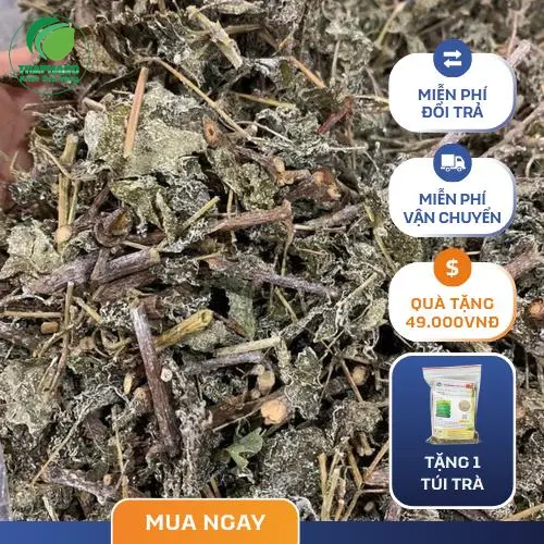 Quy trình phơi khô Chè Dây tại Tấn Phát đảm bảo giữ nguyên dược tính