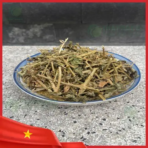 Pha trà cà gai leo khô Noni Tấn Phát