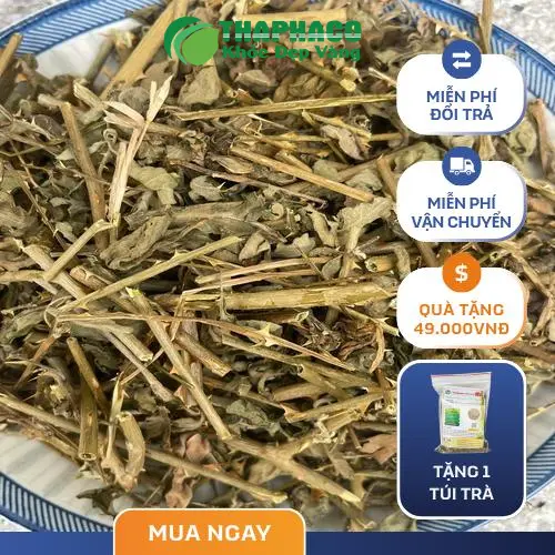 Hình ảnh người dùng khỏe mạnh, năng động sau khi sử dụng cà gai leo Noni Tấn Phát