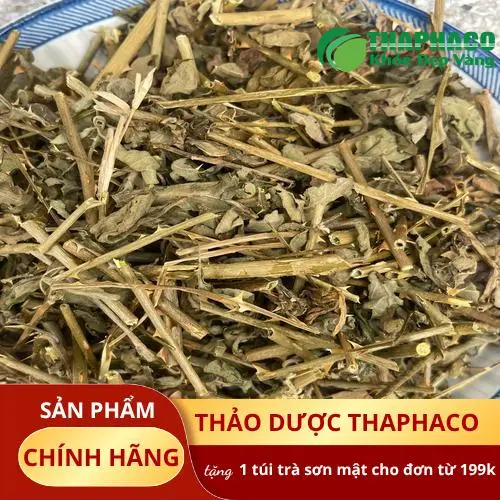Phân tích hoạt chất Glycoalkaloid trong cà gai leo