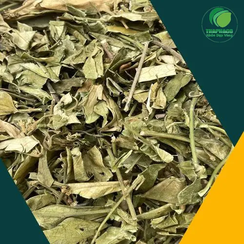 Dây thìa canh sấy khô thành phẩm Noni Tấn Phát chất lượng cao