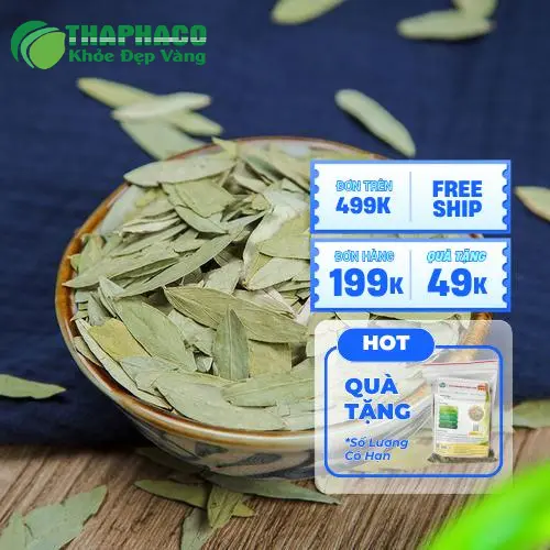 Phan Tả Diệp có thể dùng cho trẻ em không - Nguy cơ mất nước ở trẻ