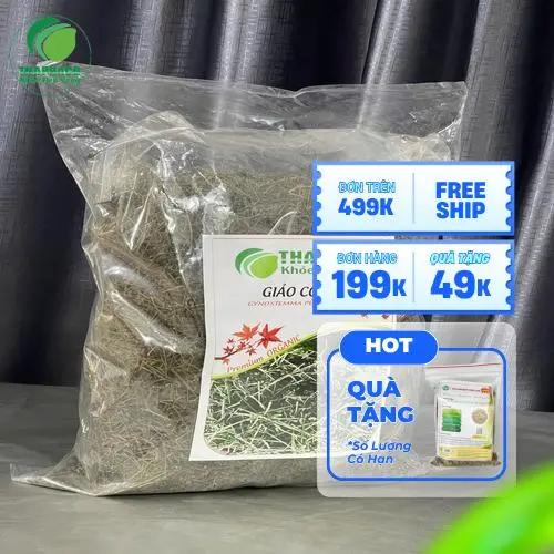 Lợi ích sức khỏe của Giảo cổ lam sấy khô Noni Tấn Phát