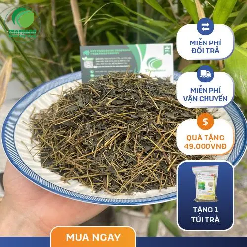 Pha trà Giảo Cổ Lam đúng cách để tối ưu hóa lợi ích sức khỏe