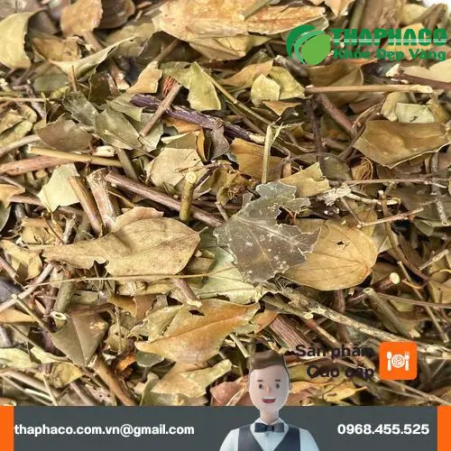 Nước chè vằng sau khi pha