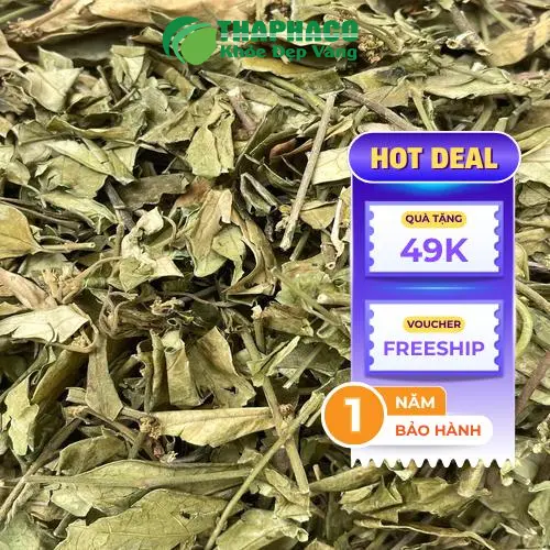Gói Dây thìa canh Noni Tấn Phát 1kg