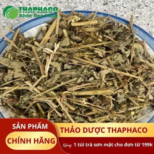 Noni Tấn Phát cà gai leo khô chất lượng cao