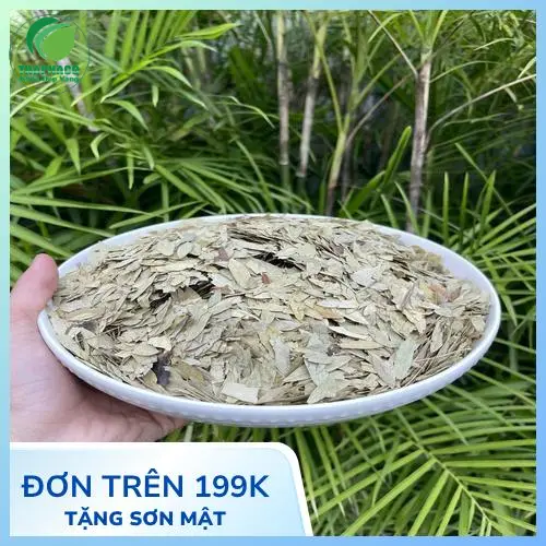 Phan Tả Diệp THAPHACO hỗ trợ thanh lọc cơ thể