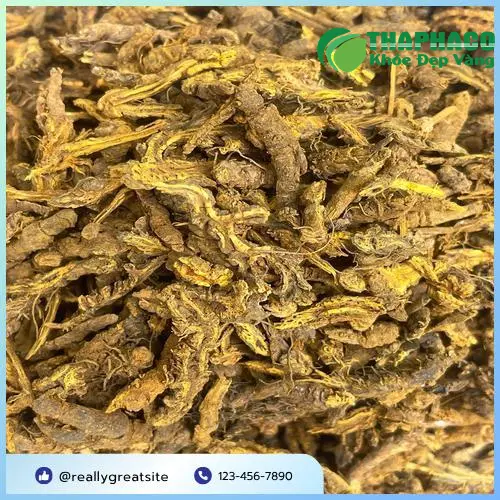 Hoàng Liên được thái lát phơi khô