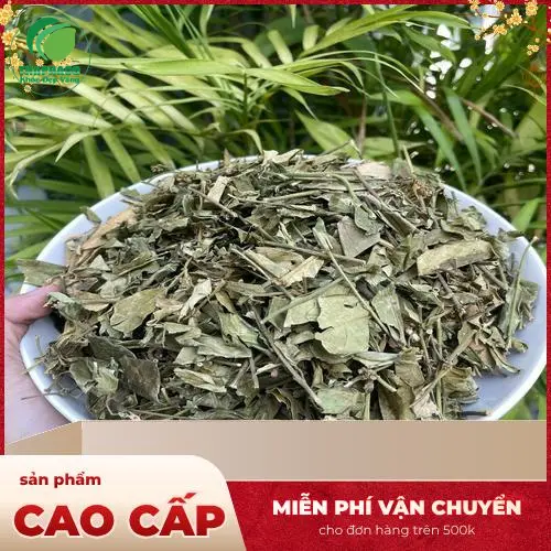 Dược sĩ đang giải thích cơ chế hoạt động phức tạp của dây thìa canh qua biểu đồ hoặc hình minh họa