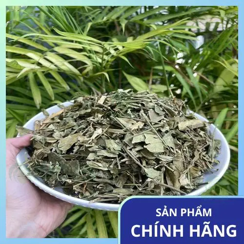 Pha trà dây thìa canh sấy khô đúng cách để tận dụng dược tính