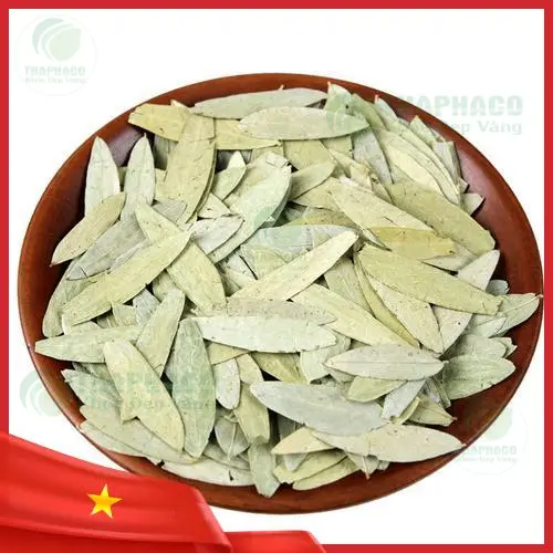 Phan Tả Diệp có thể dùng cho trẻ em không - Lời khuyên của chuyên gia