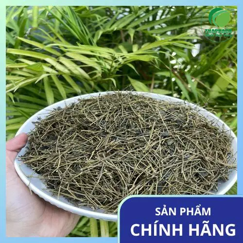 Bảo quản Giảo Cổ Lam đúng cách để giữ nguyên dược tính