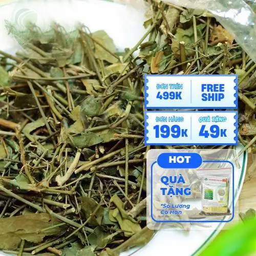 Chè vằng được đóng gói cẩn thận