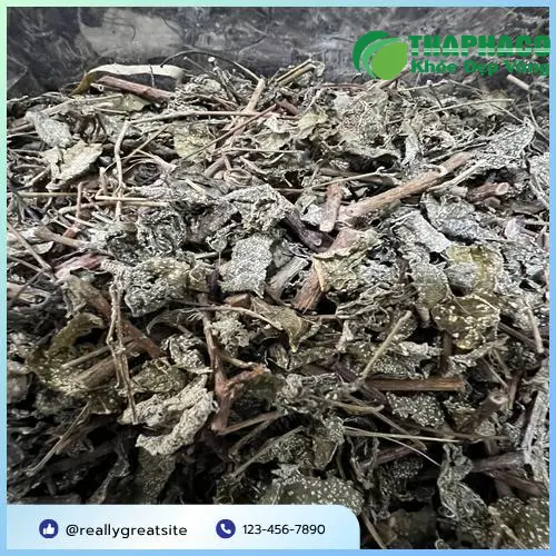 Đóng gói Chè Dây Noni Tấn Phát tiện lợi, bảo quản tốt