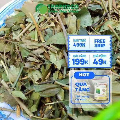 Mẹ bỉm vui vẻ, khỏe mạnh bên con nhờ chè vằng lợi sữa