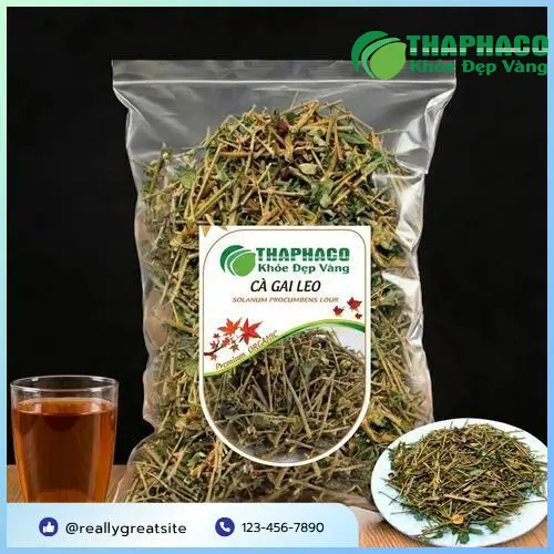 Quy trình đóng gói cà gai leo Noni Tấn Phát