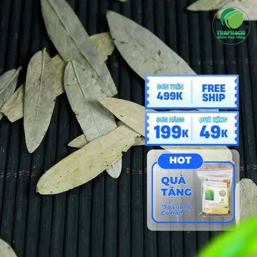 Ưu đãi Mua 1 Tặng 1 Phan Tả Diệp THAPHACO tại Noni Tấn Phát