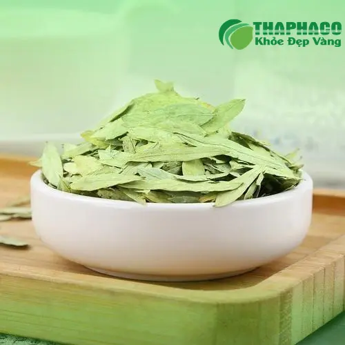 Phan Tả Diệp có thể dùng cho trẻ em không - Phan Tả Diệp Noni Tấn Phát