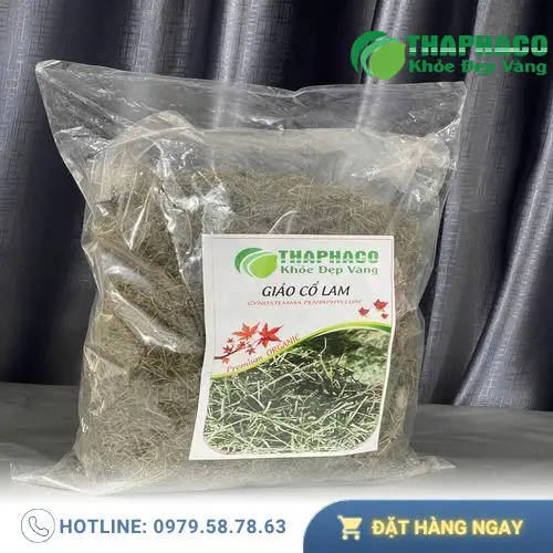 Giảo cổ lam và những lợi ích sức khỏe lâu dài