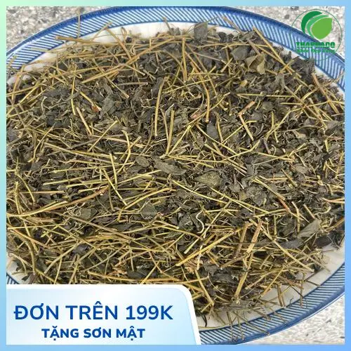 Noni Tấn Phát cung cấp Giảo cổ lam chất lượng cao, giá tốt