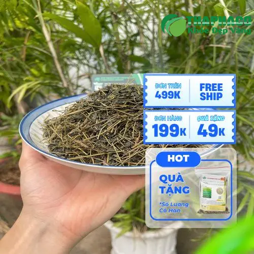Thảo dược cần được sử dụng đúng liều lượng và có sự tư vấn