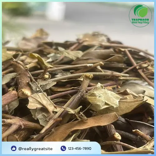 Sản phẩm Chè Vằng Noni Tấn Phát