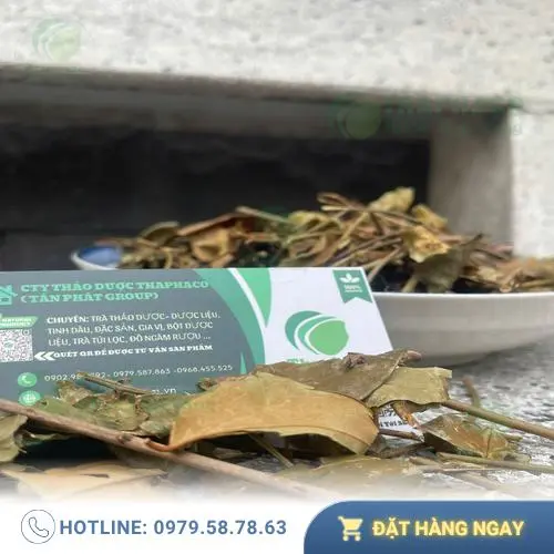 Hình ảnh chè vằng Noni Tấn Phát khô nguyên chất, chất lượng cao