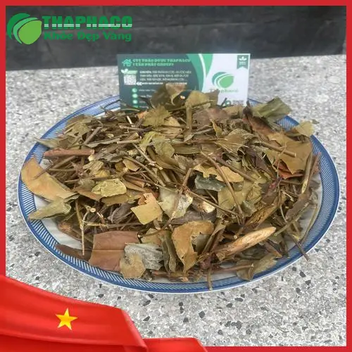 Lợi ích của chè vằng Noni Tấn Phát
